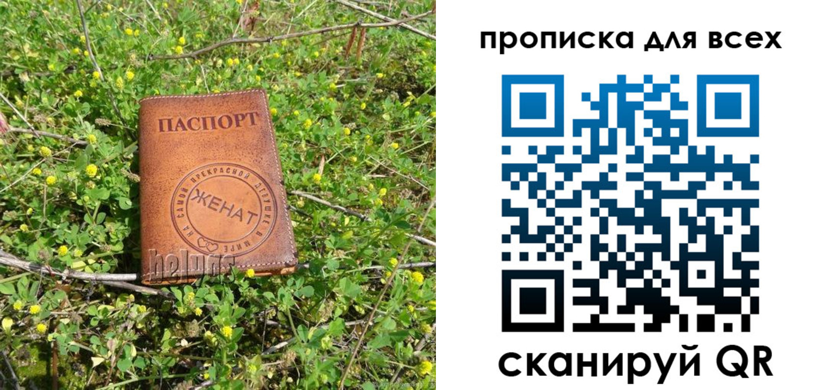 прописка поиск в Боготоле